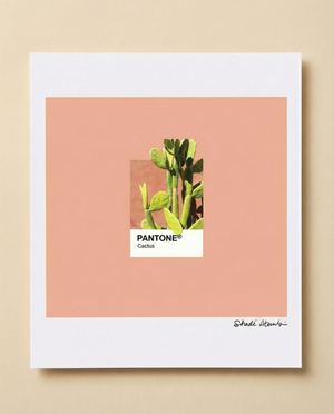 Cactus Pantone