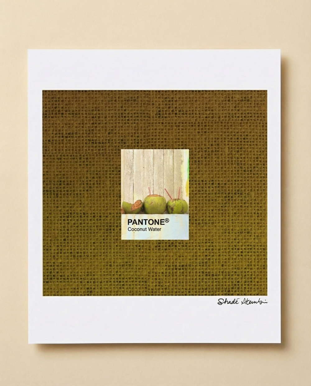 Coconut Water Pantone