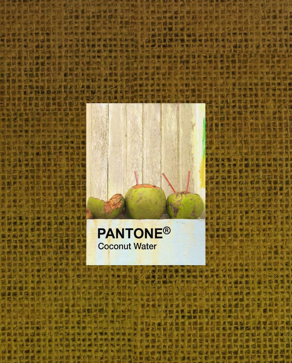 Coconut Water Pantone