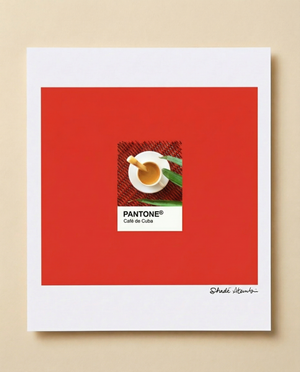 Cuban Coffee Pantone