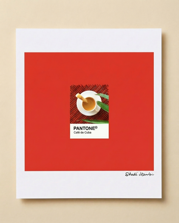 Cuban Coffee Pantone