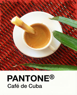 Cuban Coffee Pantone