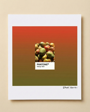 Mango Skin Pantone
