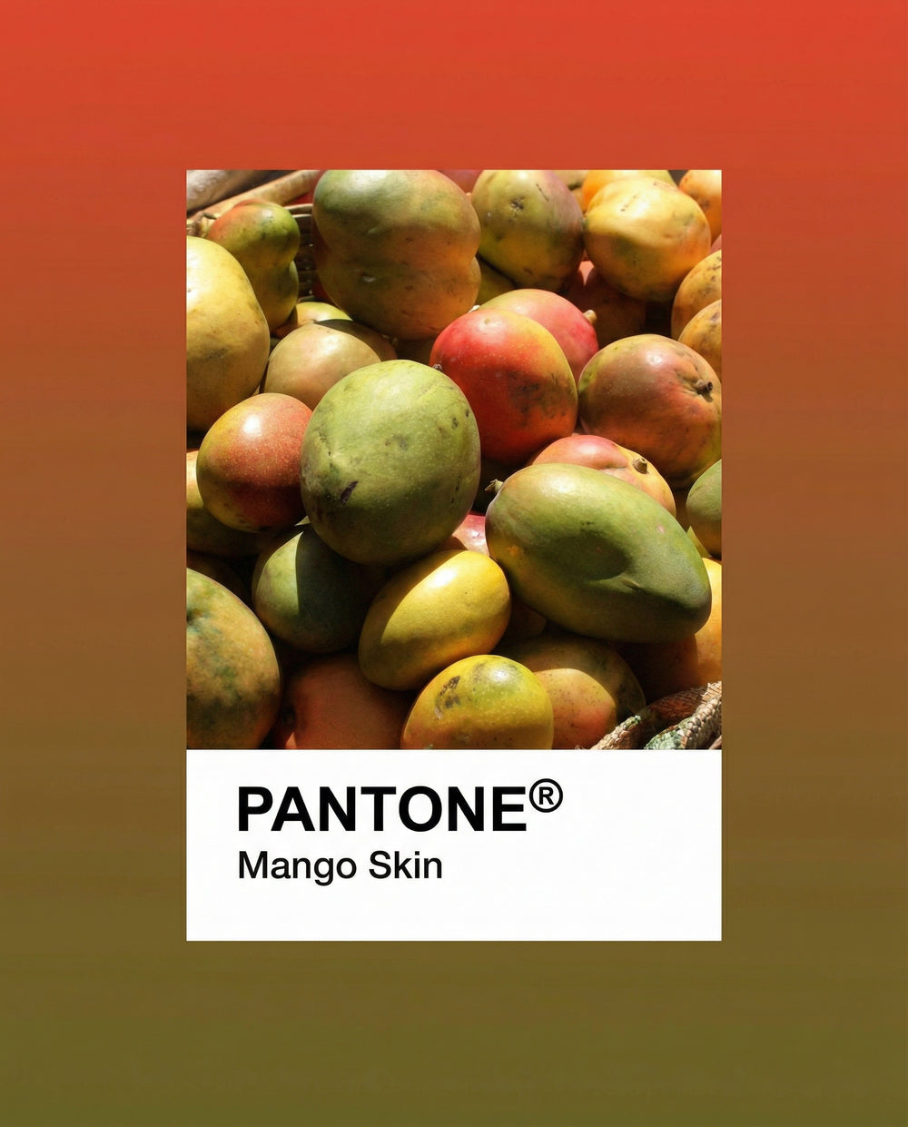 Mango Skin Pantone