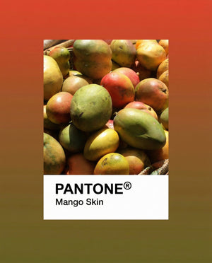 Mango Skin Pantone