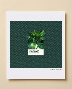 Palm Leaf Pantone