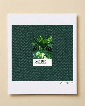 Palm Leaf Pantone