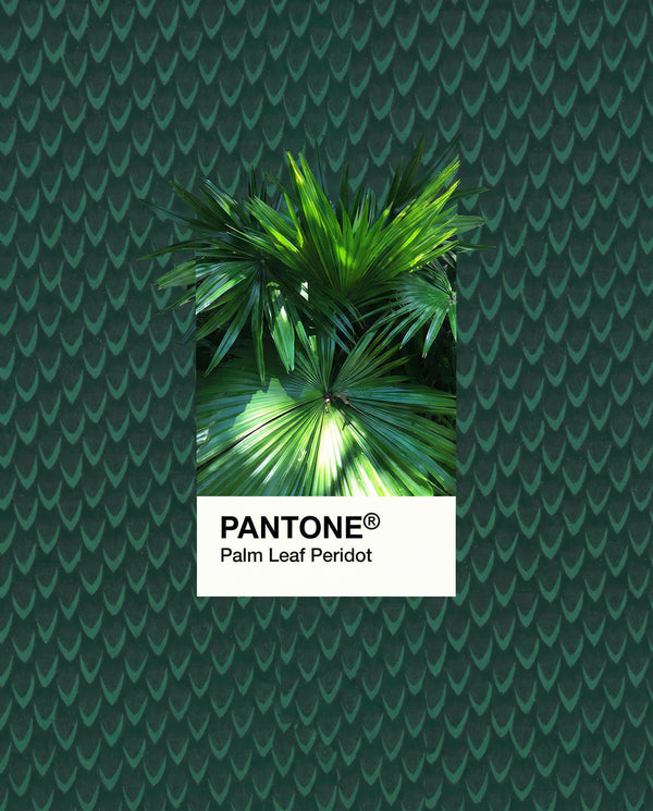 Palm Leaf Pantone