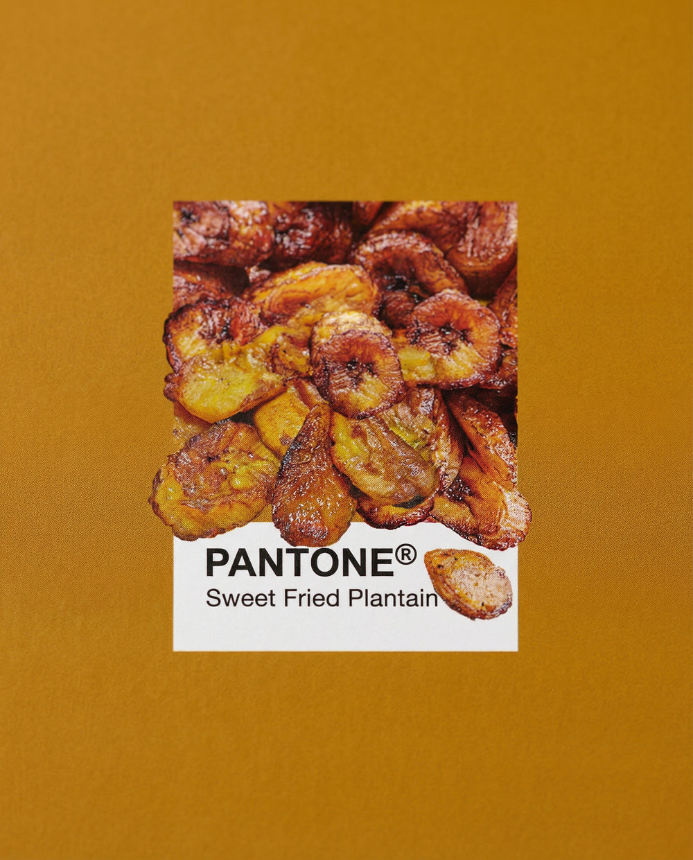 Plantain Pantone