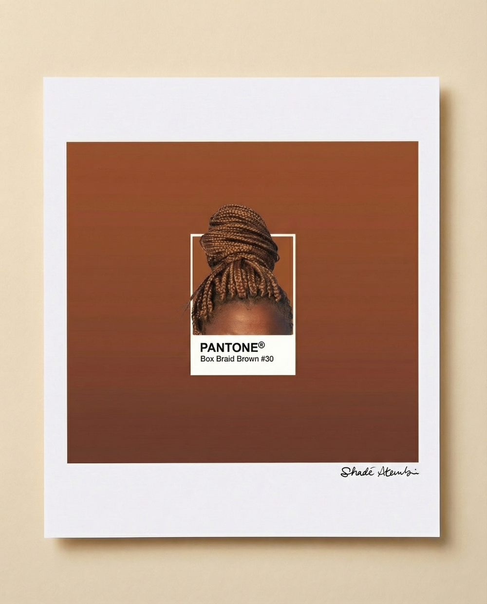 Braids Pantone