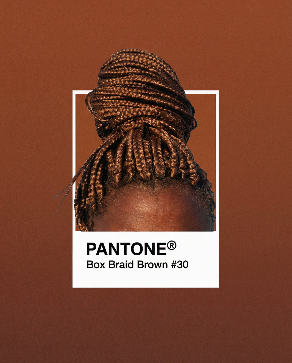 Braids Pantone
