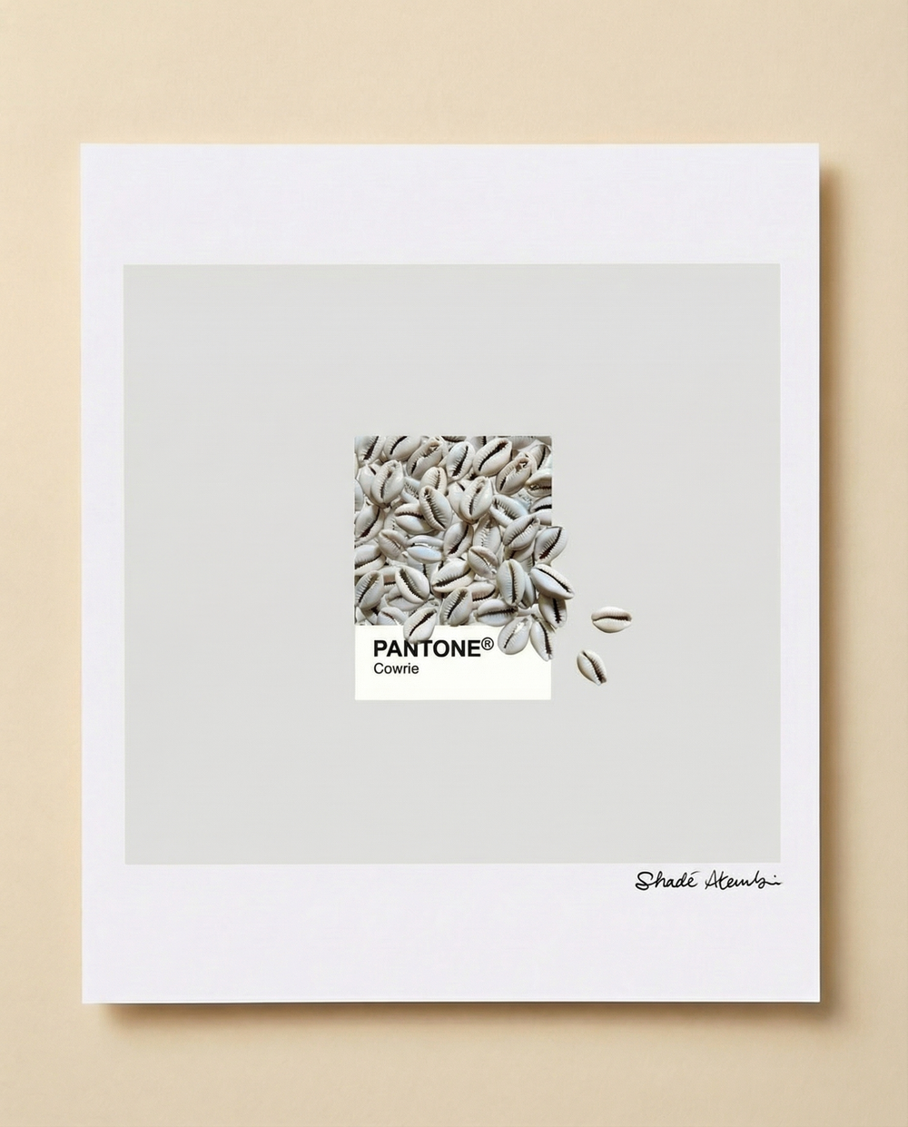 Cowrie Pantone