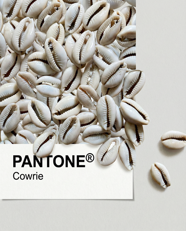 Cowrie Pantone